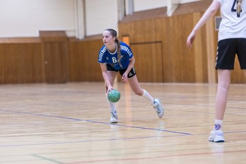 Bild 217 - wBJ TSV Ellerau - SV Fehmarn : Ergebnis: 27:20